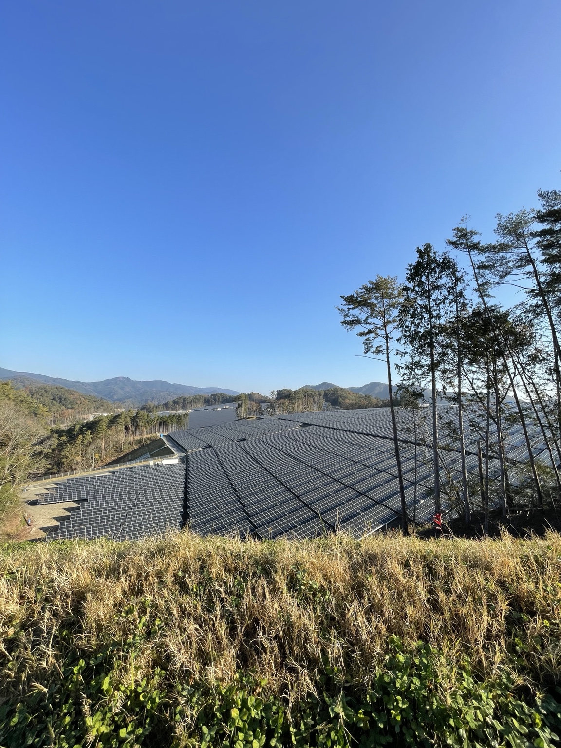 大規模太陽光発電設備
