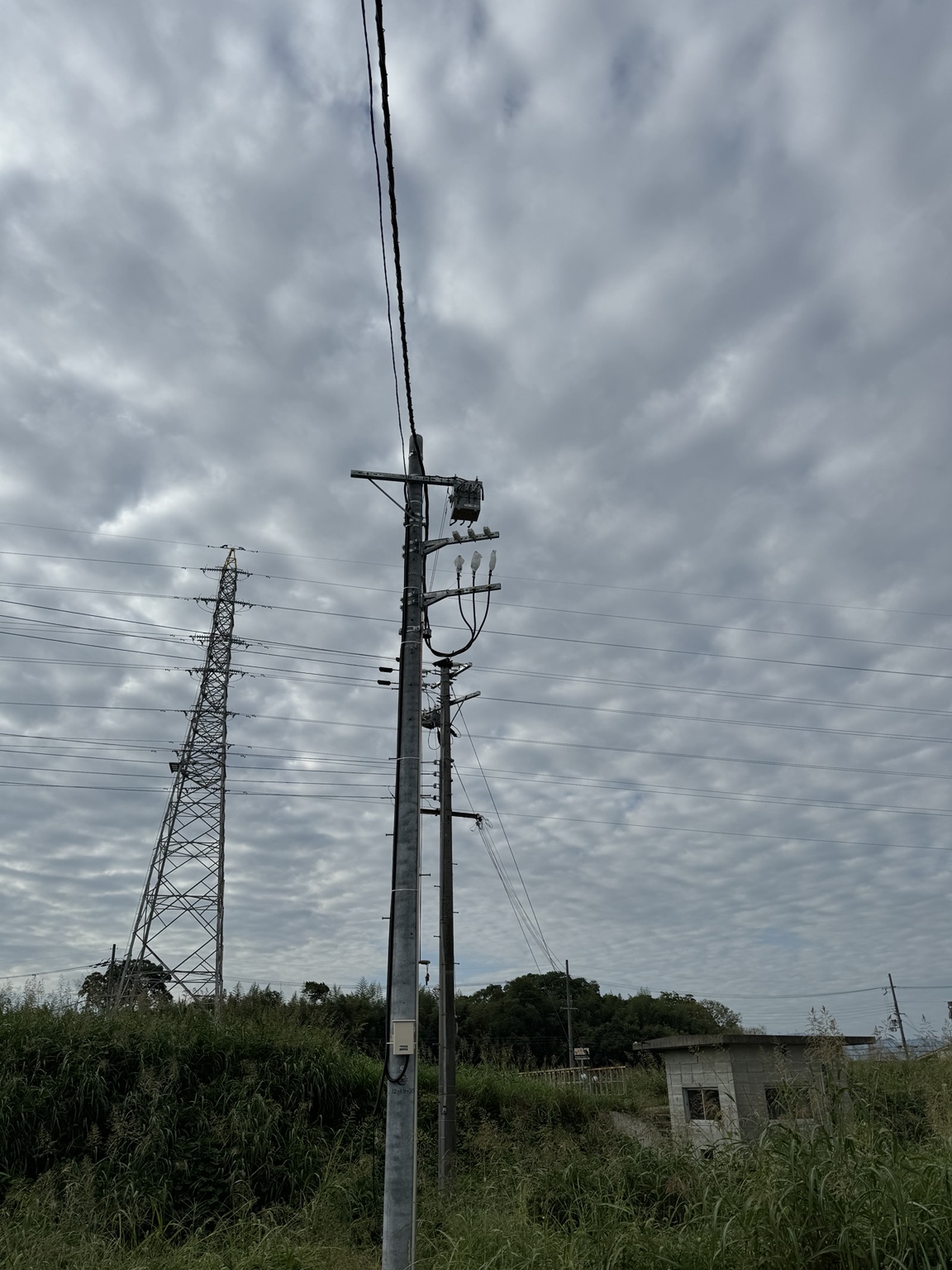 構内電柱・高圧引込設備工事